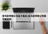 宝马区块链公司是干嘛的[宝马区块链公司是干嘛的呀]